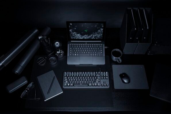 Razer BlackWidow Lite – Silent Mechanical Gaming Keyboard - ( Orange Switch