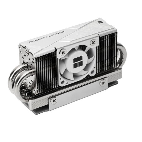THERMALRIGHT TR-M.2 HR-10 PRO 2280 SSD