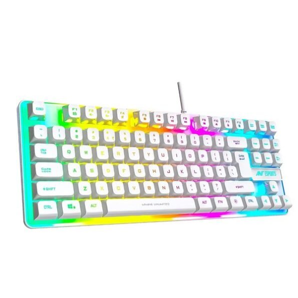 Ant Esports MK700 V2 TKL Backlit Gaming Keyboard (Mercury)