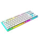 Ant Esports MK700 V2 TKL Backlit Gaming Keyboard (Mercury) 1(1)